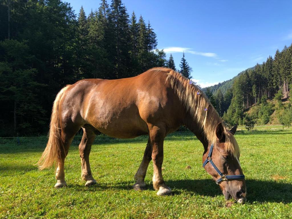 Baita Alpenrose Villa Ugovizza Luaran gambar