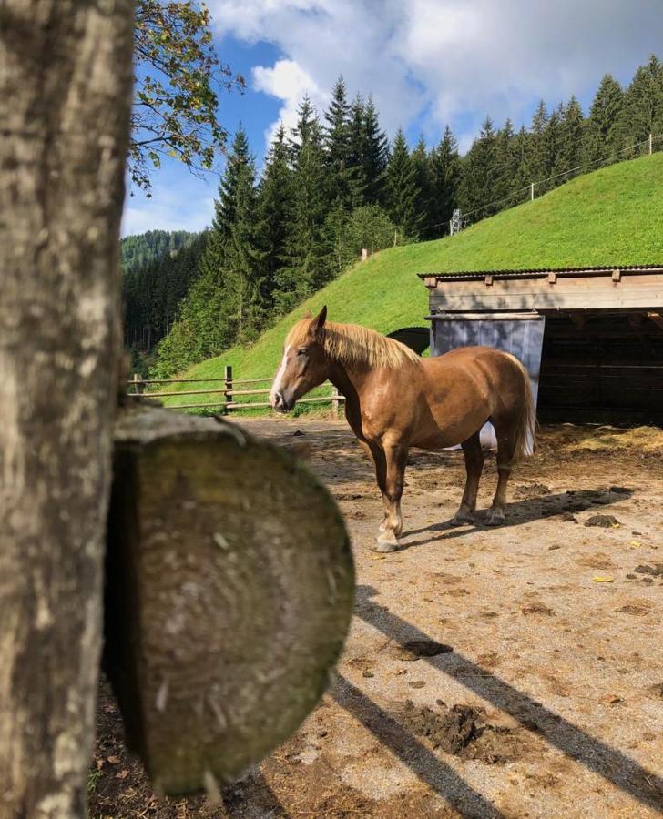 Baita Alpenrose Villa Ugovizza Luaran gambar