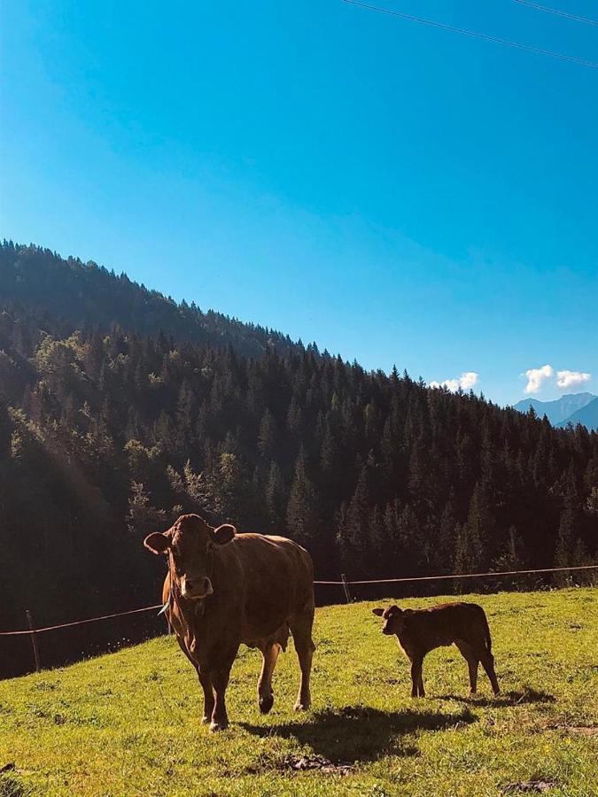 Baita Alpenrose Villa Ugovizza Luaran gambar